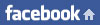 Cat Sitting on Facebook